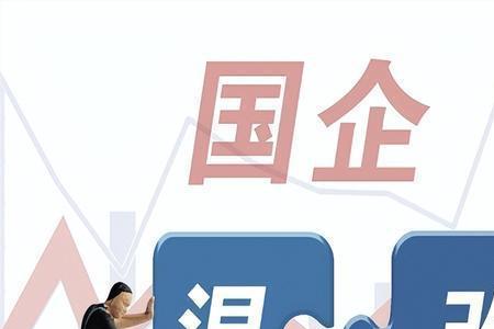 民企引进国有资本的模式