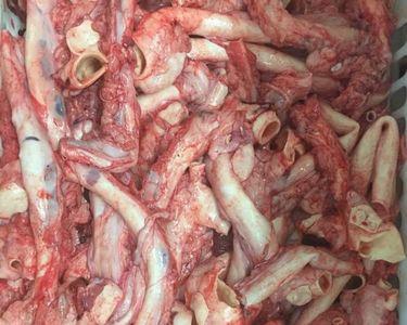 猪心管怎么用食用碱泡发