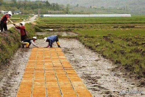 150万平方公里是多少亩地