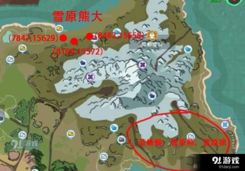 创造与魔法选什么肉盾