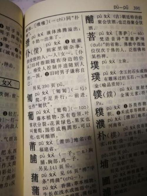 互字部首在字典哪一页
