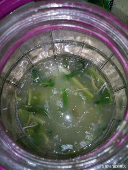 浆水发酵好可以投几次开水
