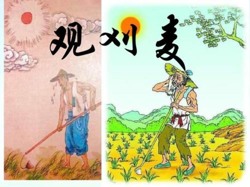 为何以观刈麦题目