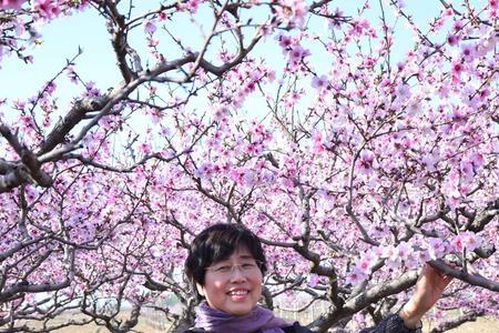 娇靥如花的意思