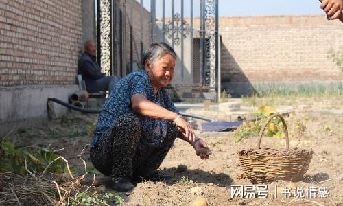 七零后的心酸原唱