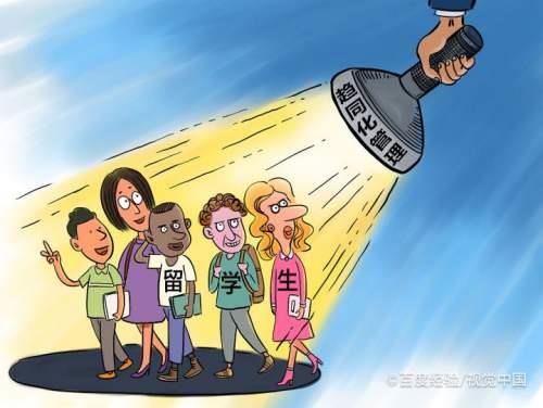 同化量什么意思