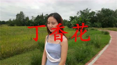 丁香花这首歌原唱是谁啊