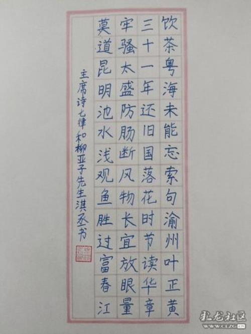 赞芥菜疙瘩诗词七律
