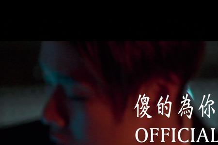 傻的歌曲有哪些