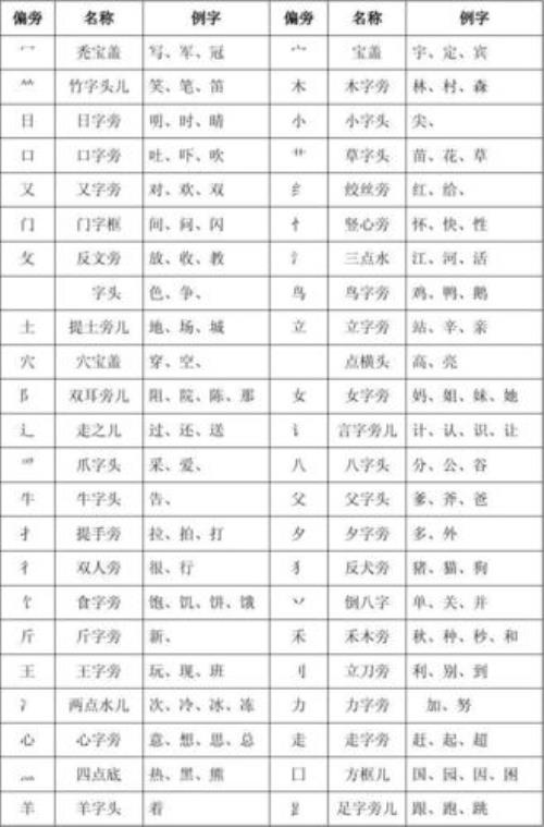 表的部首是什么偏旁