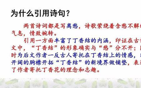 丁香结中蕾的读音