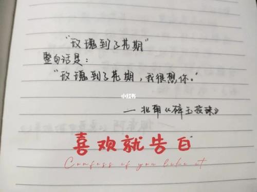 暗恋一个女孩很久该怎么表白
