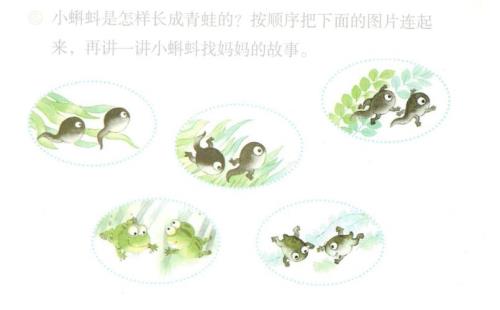 青蛙长大认得妈妈吗