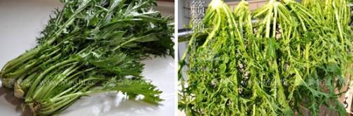 倒缸冲菜用的什么菜