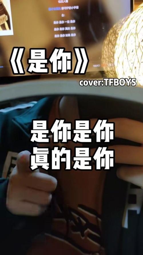 君子是你吗是什么歌里的