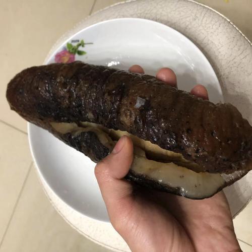 深海海参有多深