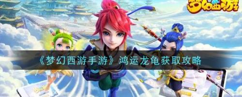 梦幻西游携宝龙龟玩法