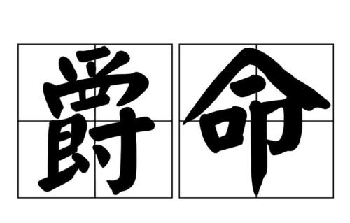 命的读音只有一个字吗