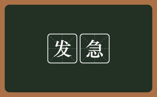 暂挂15天是什么意思