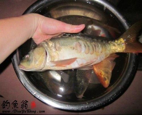 邕江钓禾花鲤最强药酒配方