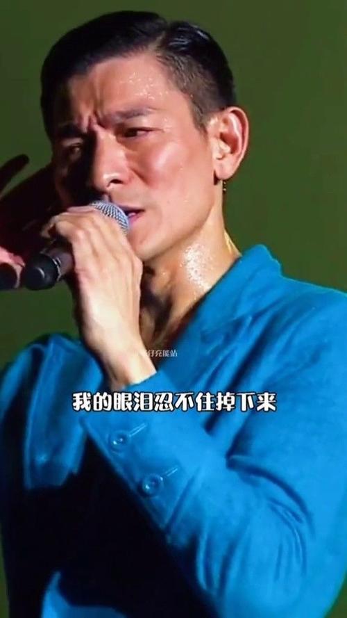 刘德华带风的歌名