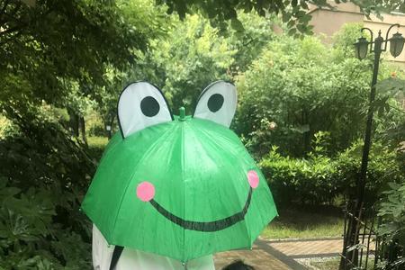 满地都是小青蛙怎么回事