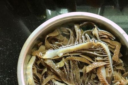 广东牛百叶做法