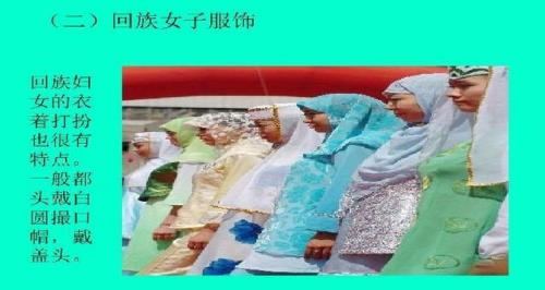 河南的回族人说什么语言
