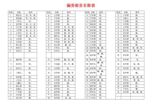 表的部首偏旁