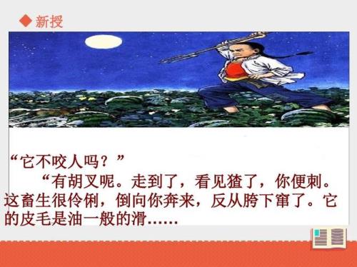 少年闰土的人物形象