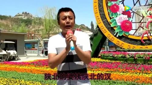 山背后陕北歌曲