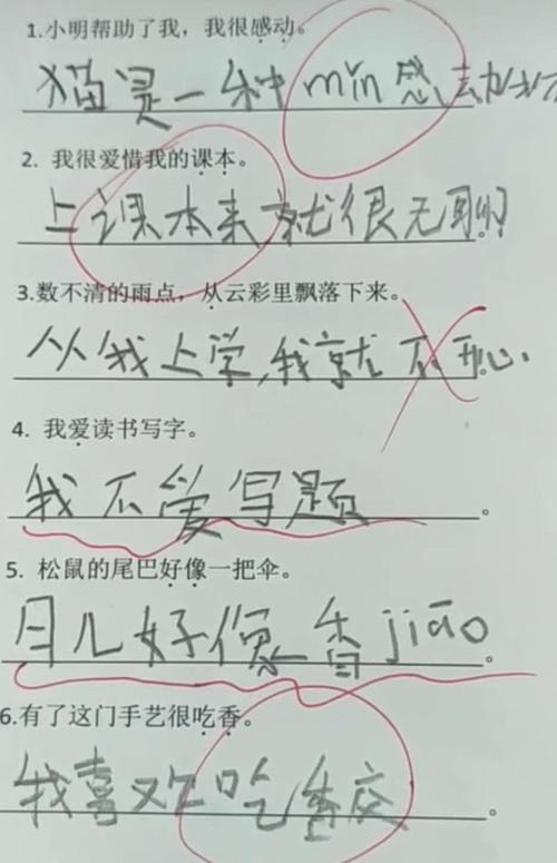 真是个造句怎么造