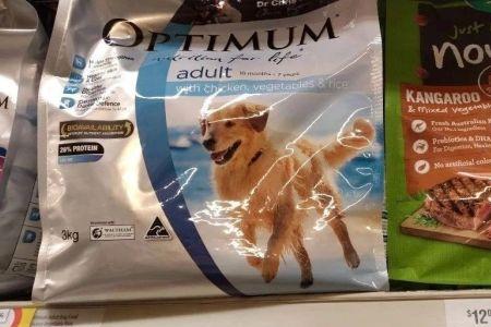 狗粮与猪饲料哪个狗吃好