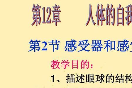 感受器一般是由什么构成的