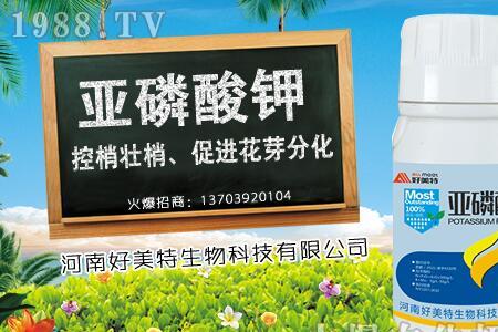 亚磷酸钾花期可以用吗