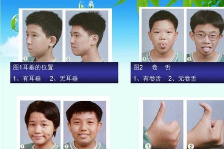 不同的指纹是相对性状嘛