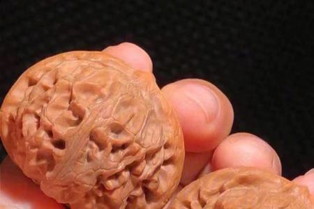 宫灯狮子头为啥有贵有便宜