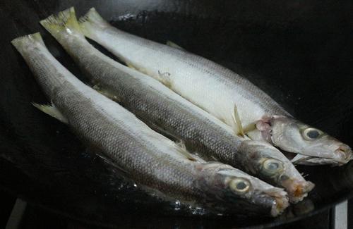 海狼鱼做法大全