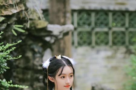 汤蕊祯读音