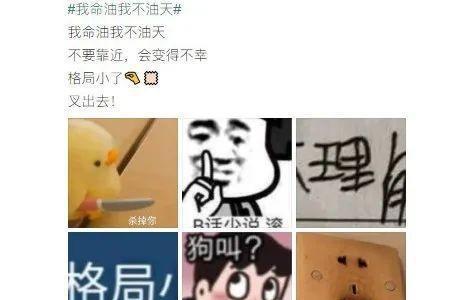 耶些宝什么意思