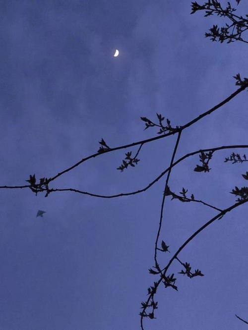晓看天色暮看云，日为朝  月为暮
