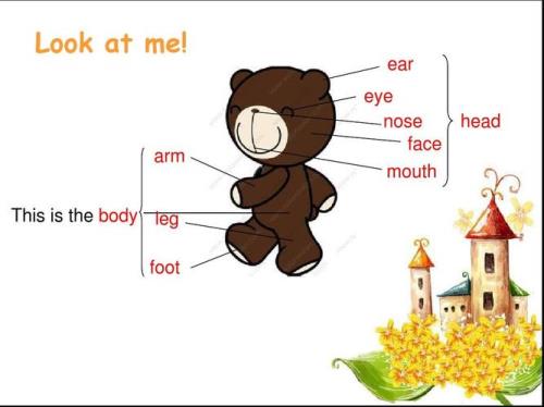 什么时候用look和lookat