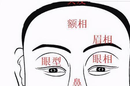 两腮是什么