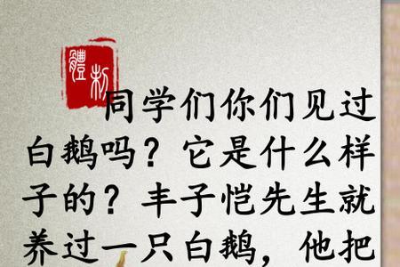 白鹅吃饭时像什么
