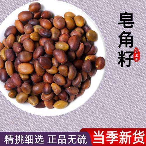 皂荚怎样剥籽快又好