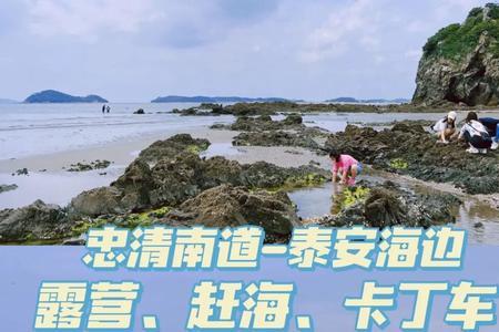距离泰安最近的海