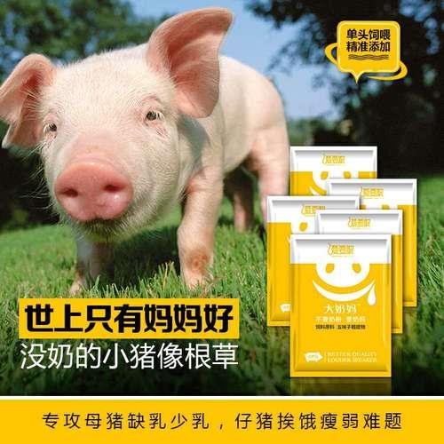 母猪奶沙有什么用途