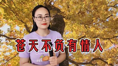 苍天不负有情人原唱男声完整版