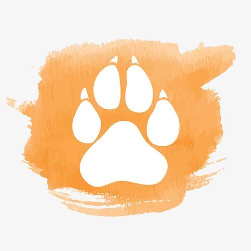 小猫画什么脚印好看