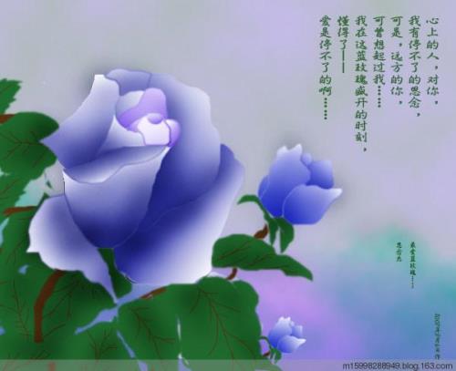带缘分的人心理特征